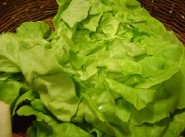 Achat vente commerce 