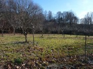 Achat vente Rosiers D Egletons