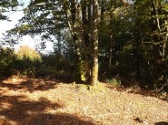 Terrain La Chapelle Taillefert