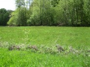 Terrain Saint Victor En Marche